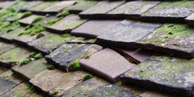 Cwmduad roof repair costs
